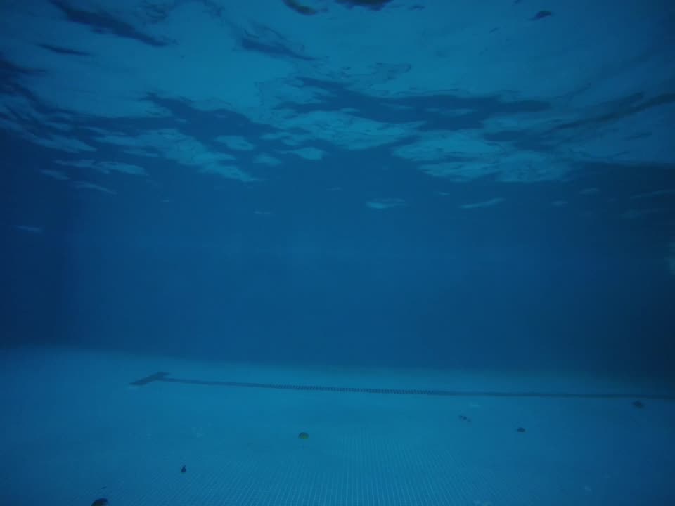 Underwater swim video frame